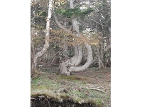 DSCF3510.JPG