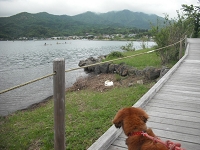 DSCF3468.JPG