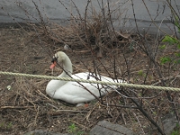 DSCF3470.JPG