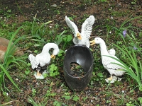 DSCF3485.JPG